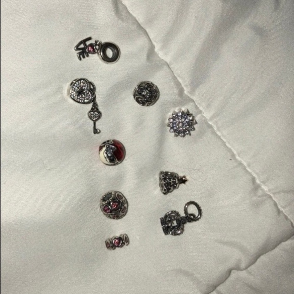 Pandora Charms